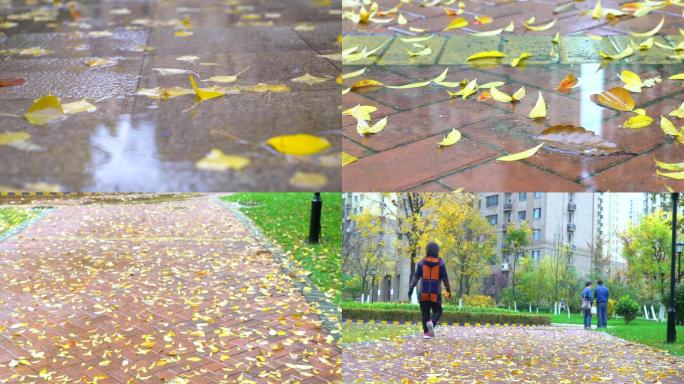 秋天雨滴-遍地落叶-冷冷清清