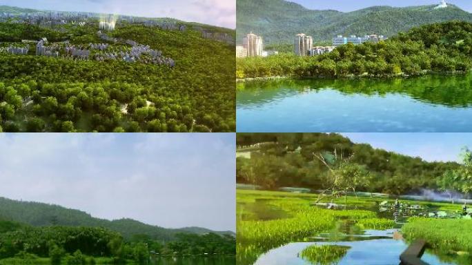 湿地湖泊青山绿水
