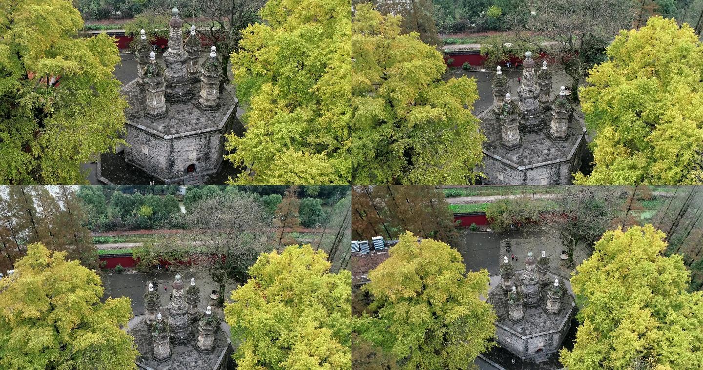 航拍襄阳广德寺千年银杏树多宝佛塔