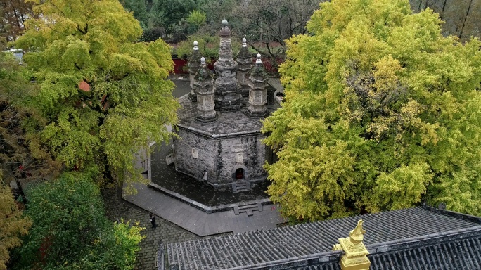 航拍襄阳广德寺千年银杏树多宝佛塔