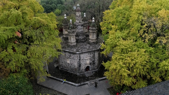 航拍襄阳广德寺千年银杏树多宝佛塔