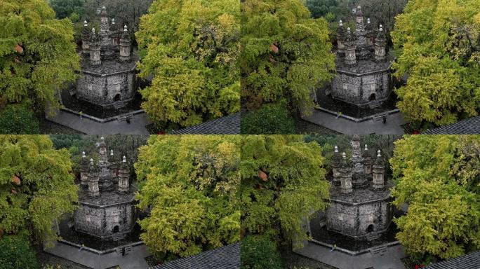 航拍襄阳广德寺千年银杏树多宝佛塔