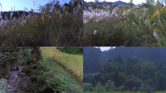 70年代山区河谷乡村