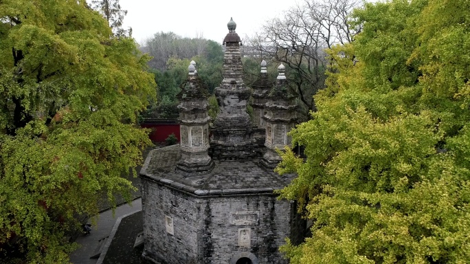 航拍襄阳广德寺千年银杏树多宝佛塔