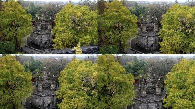 航拍襄阳广德寺千年银杏树多宝佛塔