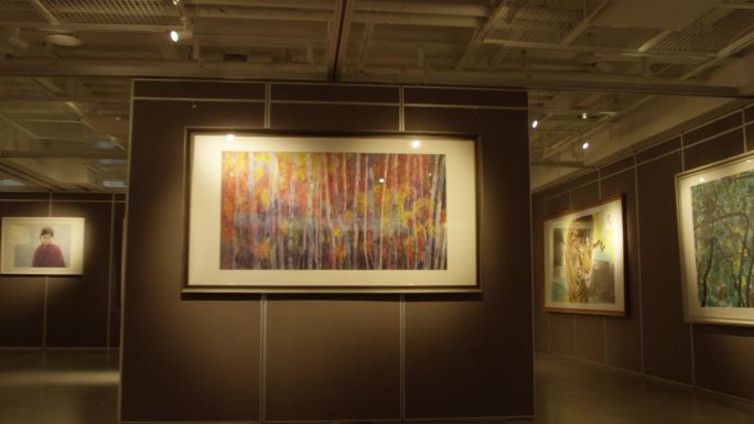 4K高清画展素材