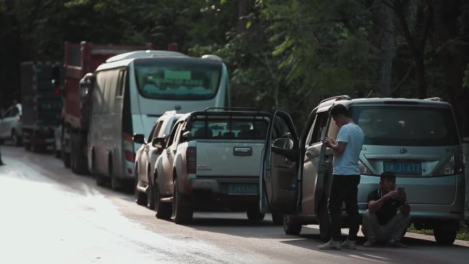 云南国道老路塞车，让路野象