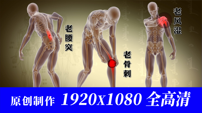 颈腰椎关节骨刺增生风寒湿毒三维动画