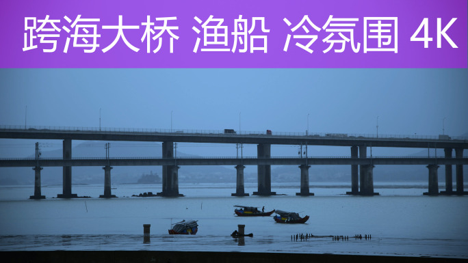 XING冷淡色调海港大桥4K