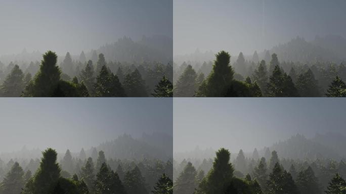 烟雨蒙蒙中国风山林