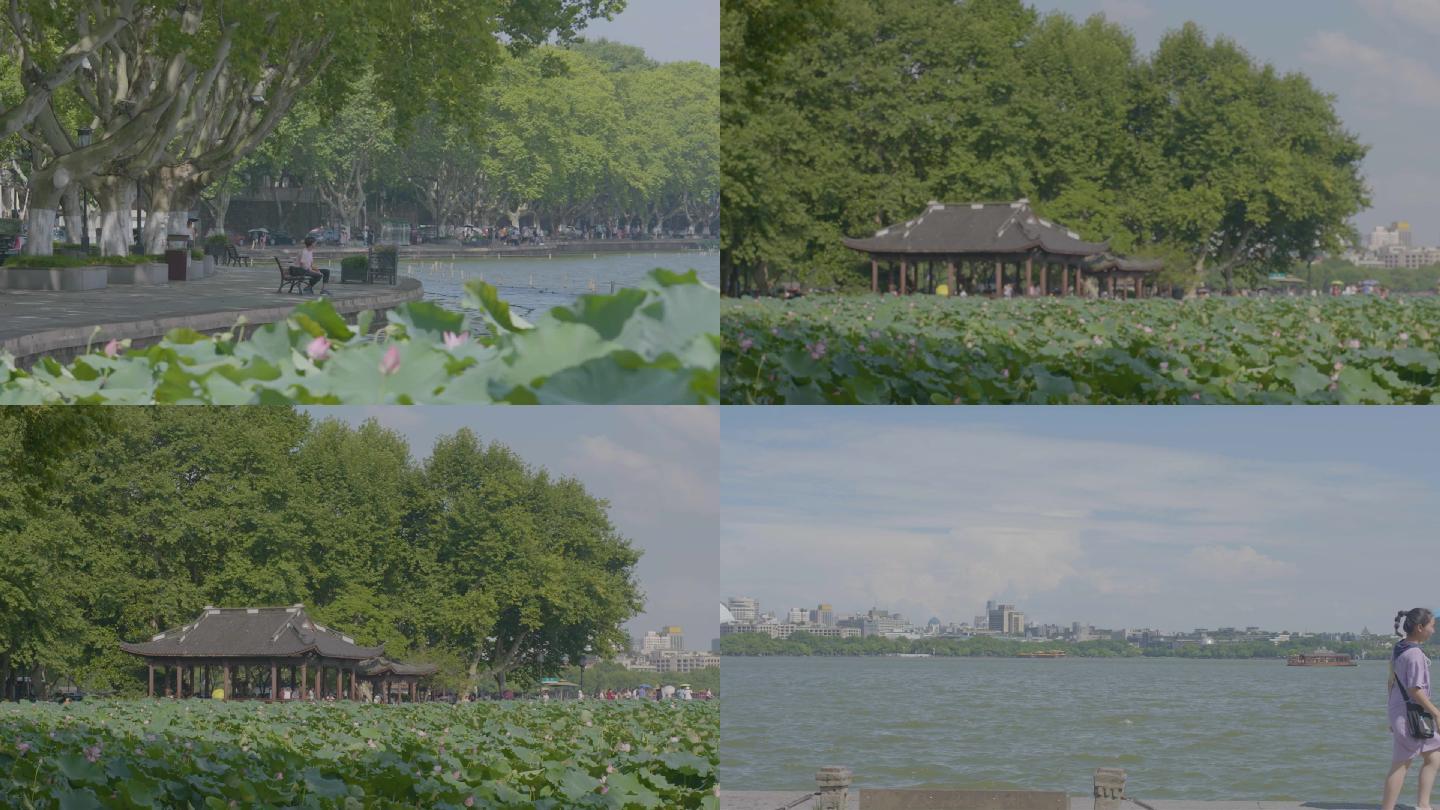 杭州西湖景色