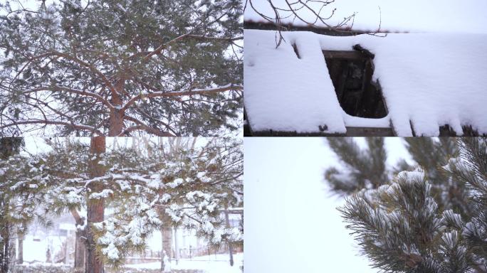 雪天升格视频素材