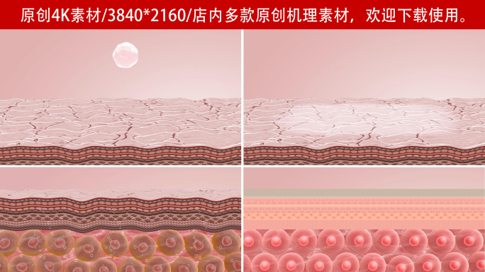 【4K】玻尿酸活化细胞消除皮肤皱纹