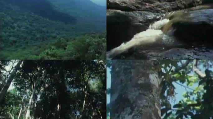 50年代泰国考艾国家森林公园