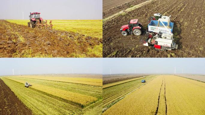 【4K】农场水稻收割和翻土