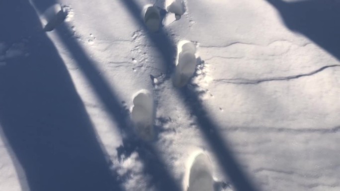 走过雪地的足迹