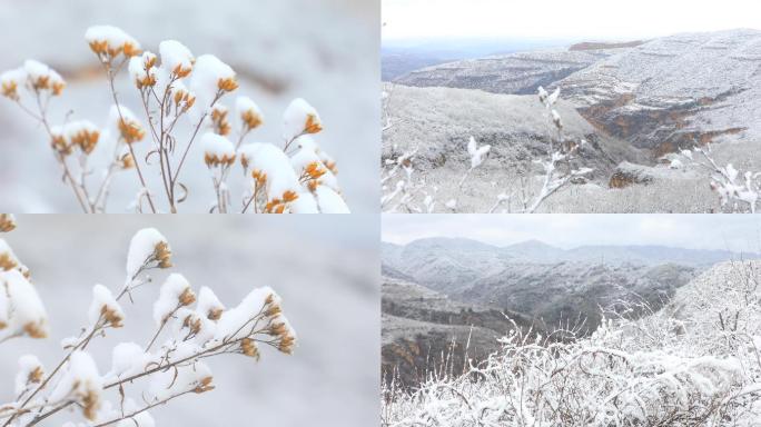 雪【4K】