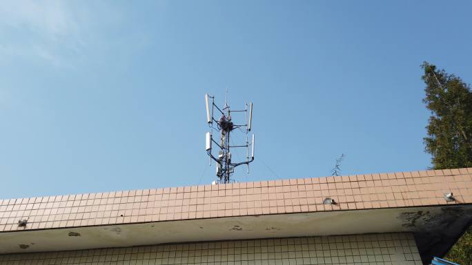 中国铁塔技术员维护信号塔掏鸟窝