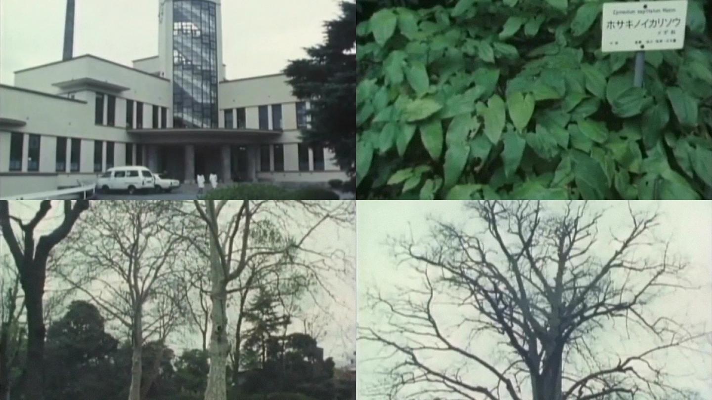 50年代日本东京大学植物园