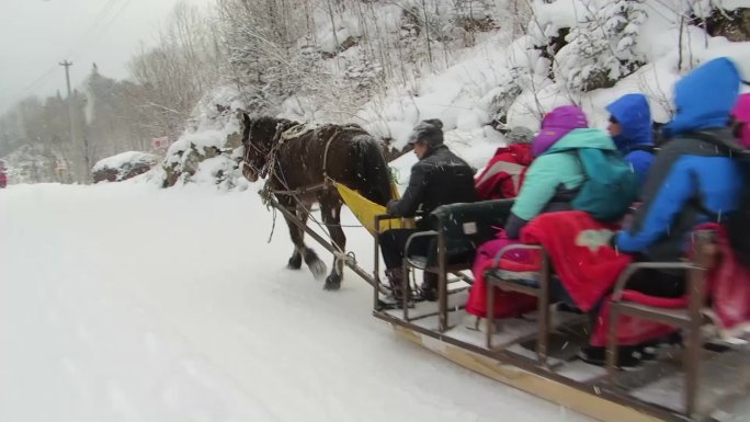 雪乡马拉雪橇