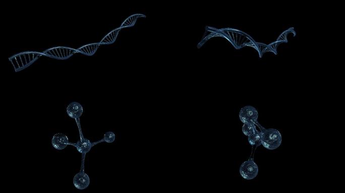 9个动态DNA和分子结构视频素材