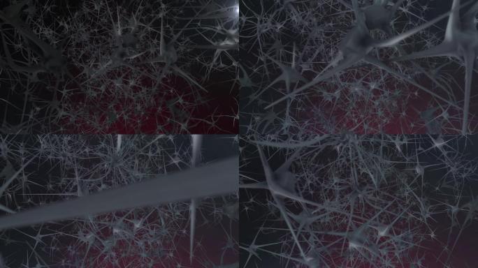 大脑神经系统神经传导3D动画