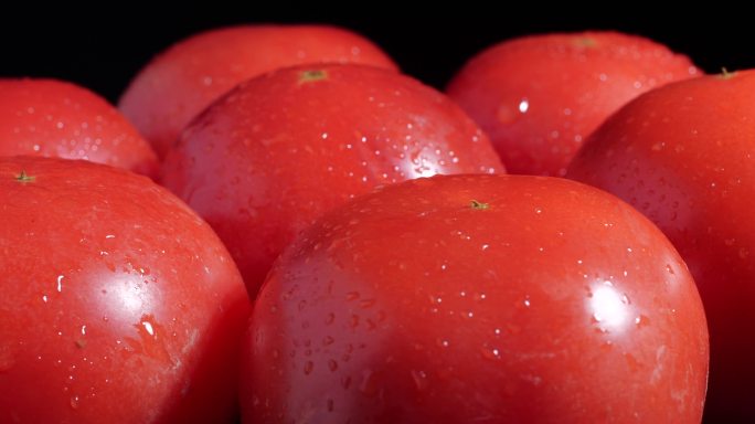 西红柿洋柿西红柿番茄番茄特写