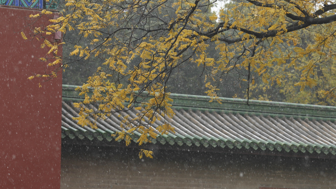 秋天公园古建筑雨雪天气冬天坛古风雪景4k