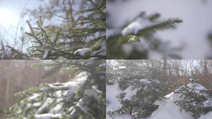 雪景树林雪景冬日雪景冰雪森林