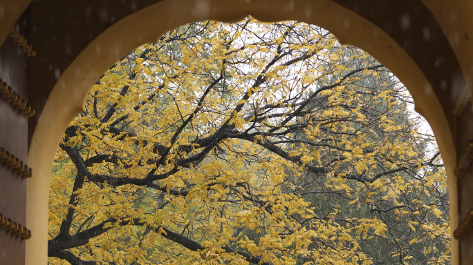 秋天公园，古风屋檐，雪门洞初冬美景