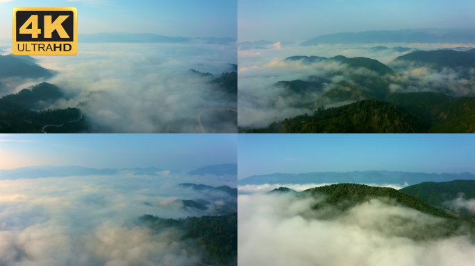 【4K】茶山云海，茶山日出云海