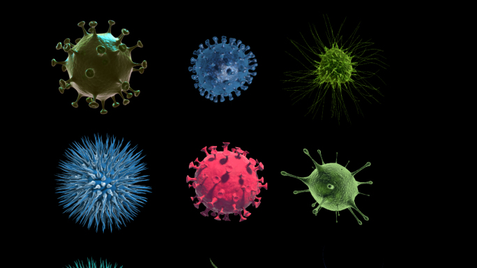 9组病毒动画_带alpha通道