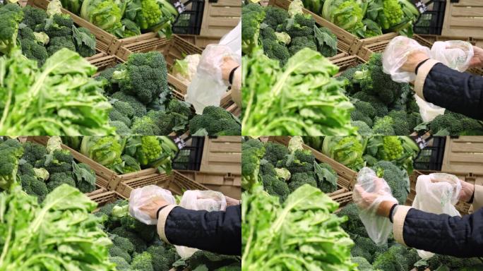 4K农贸市场菜市场绿色蔬菜买菜