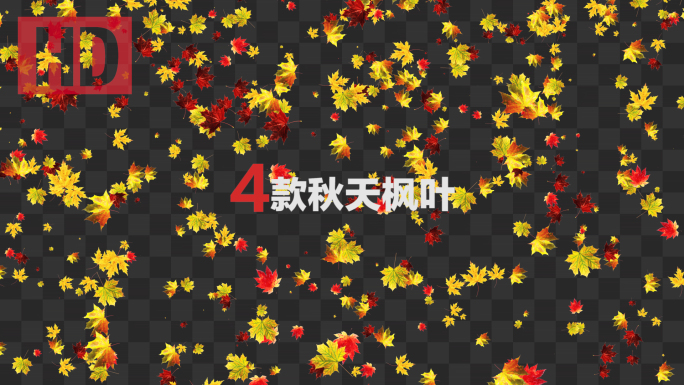 4款秋天枫叶落叶-带通道