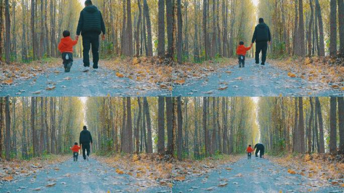 父子行走在秋天的乡间小路丨4K丨原创视频