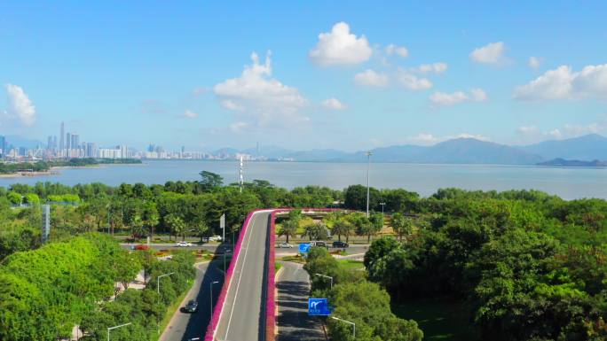 深圳生态绿化环境-海绵城市-深圳湾