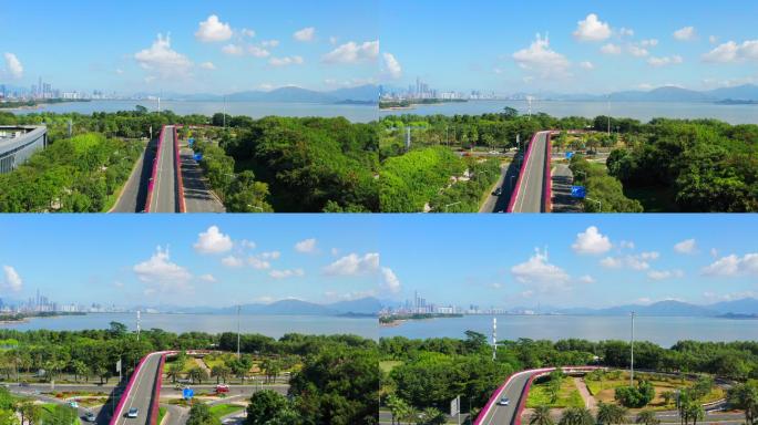 深圳生态绿化环境-海绵城市-深圳湾