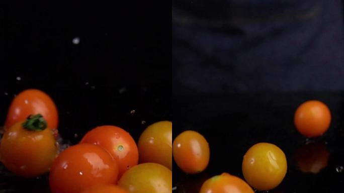 黄柿子竖版视频
