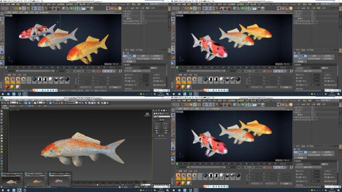 C4D+3dsmax+fbx--三条锦鲤