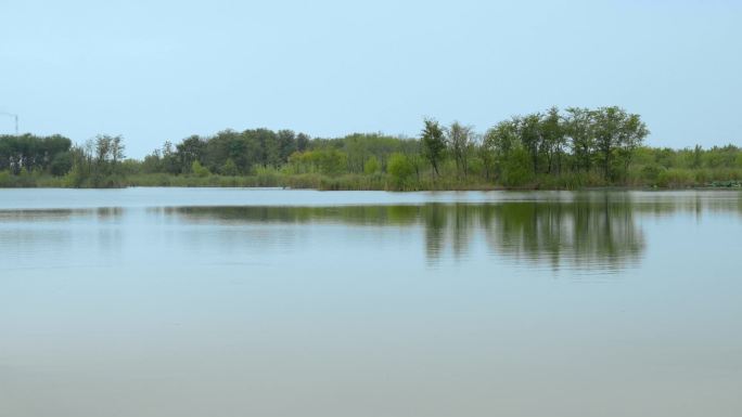 湿地公园坐船旅游