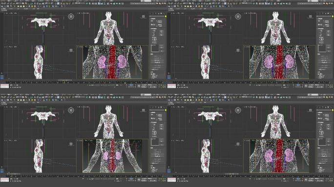 3DMAX人体模型