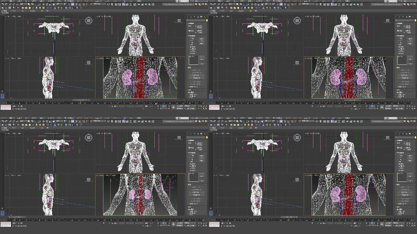 3DMAX人体模型