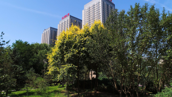 银川，前景树，万达广场，全景