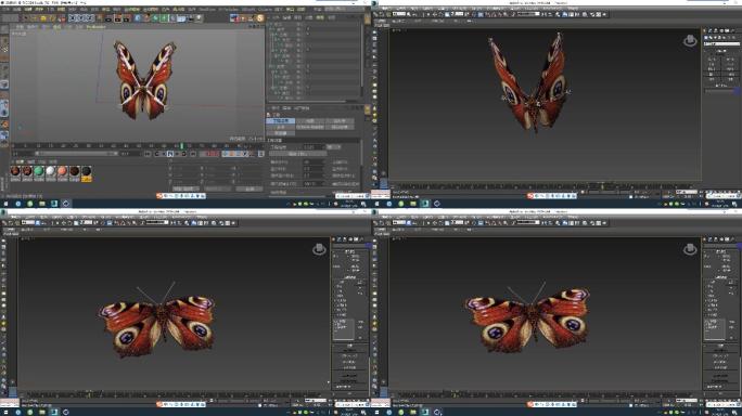 C4D+3dsmax+fbx模型--蝴蝶