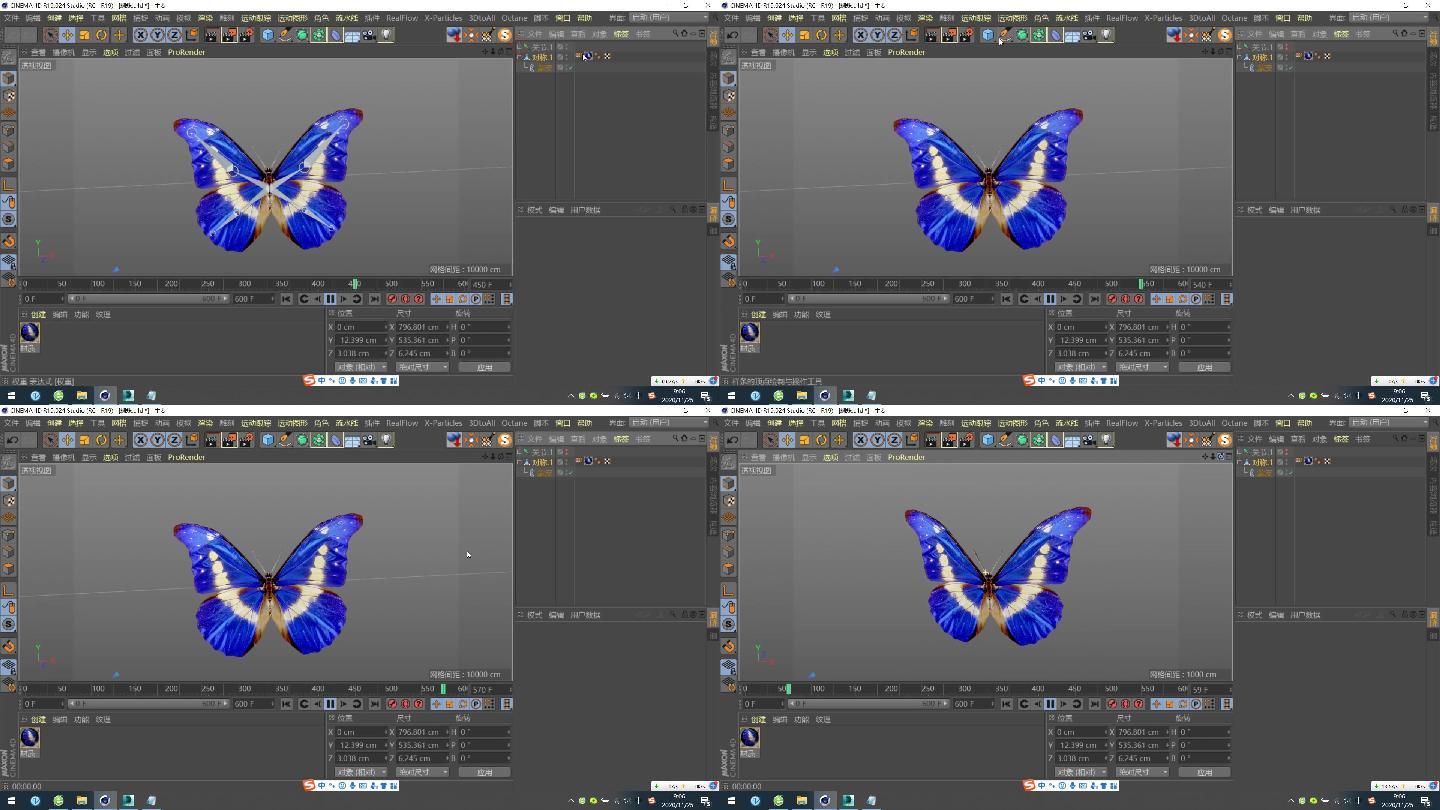 C4D+fbx模型--蓝色蝴蝶