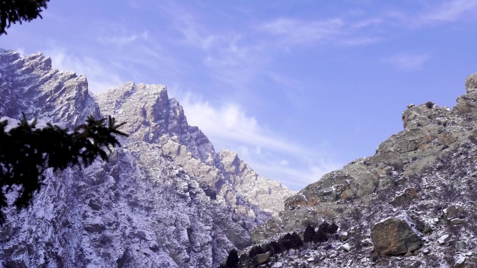 4K有松树做前景的雪顶贺兰山前进运动镜头