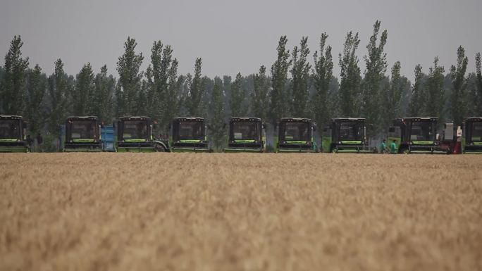 【实拍】丰收的麦田与农业机械化