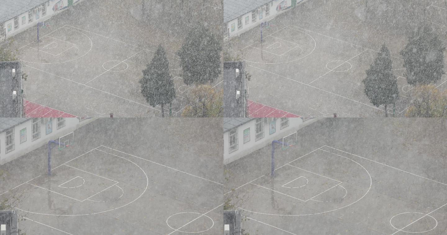 4K下雪高清实拍下雪校园大树篮球场