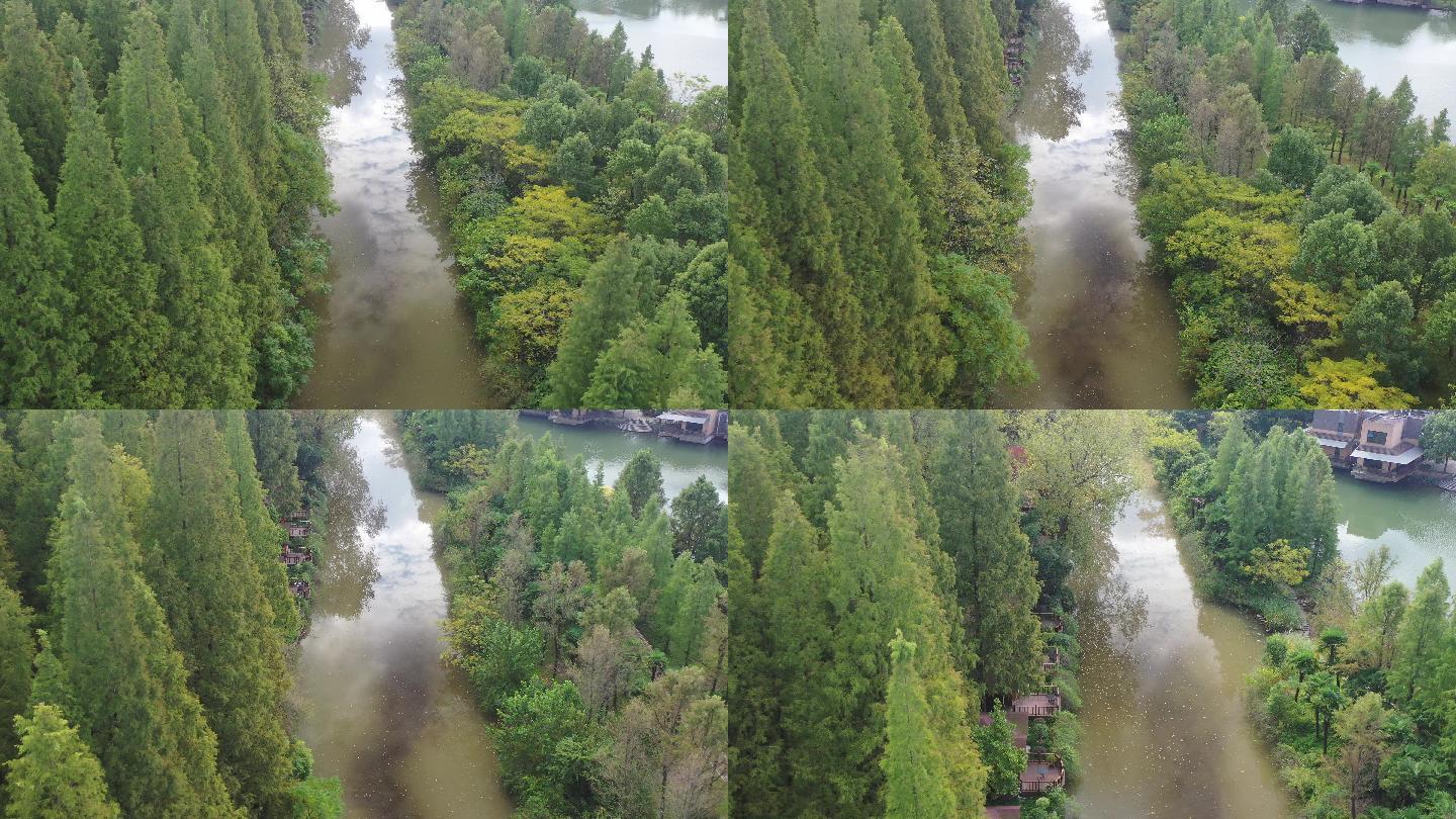4K原素材-航拍初秋成片森林中的河道河网