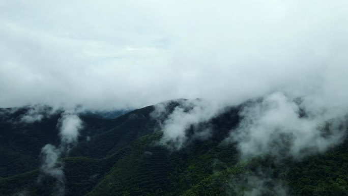 4K热带雨林航拍雨季风景
